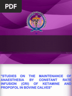 Goat and Sheep Anesthesia Protocols | PDF | Anesthesia | Analgesic