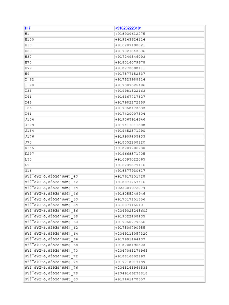MLM LEADER DATA 1 | PDF