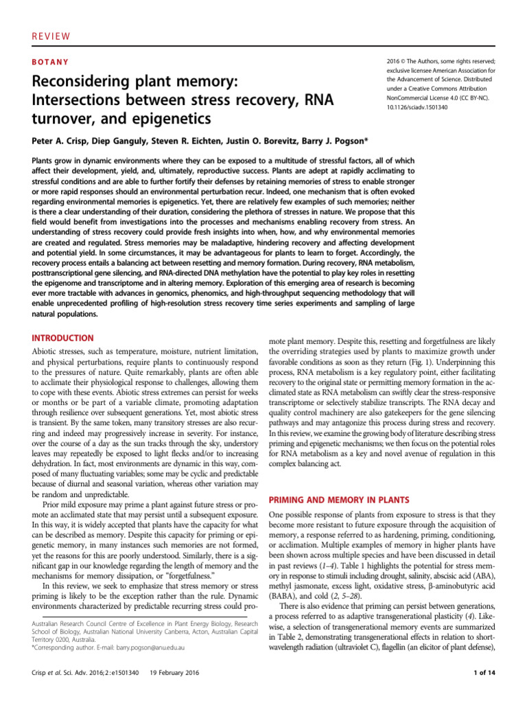 Plant Memory: Stress Recovery Mechanisms | PDF | Epigenetics | Heredity