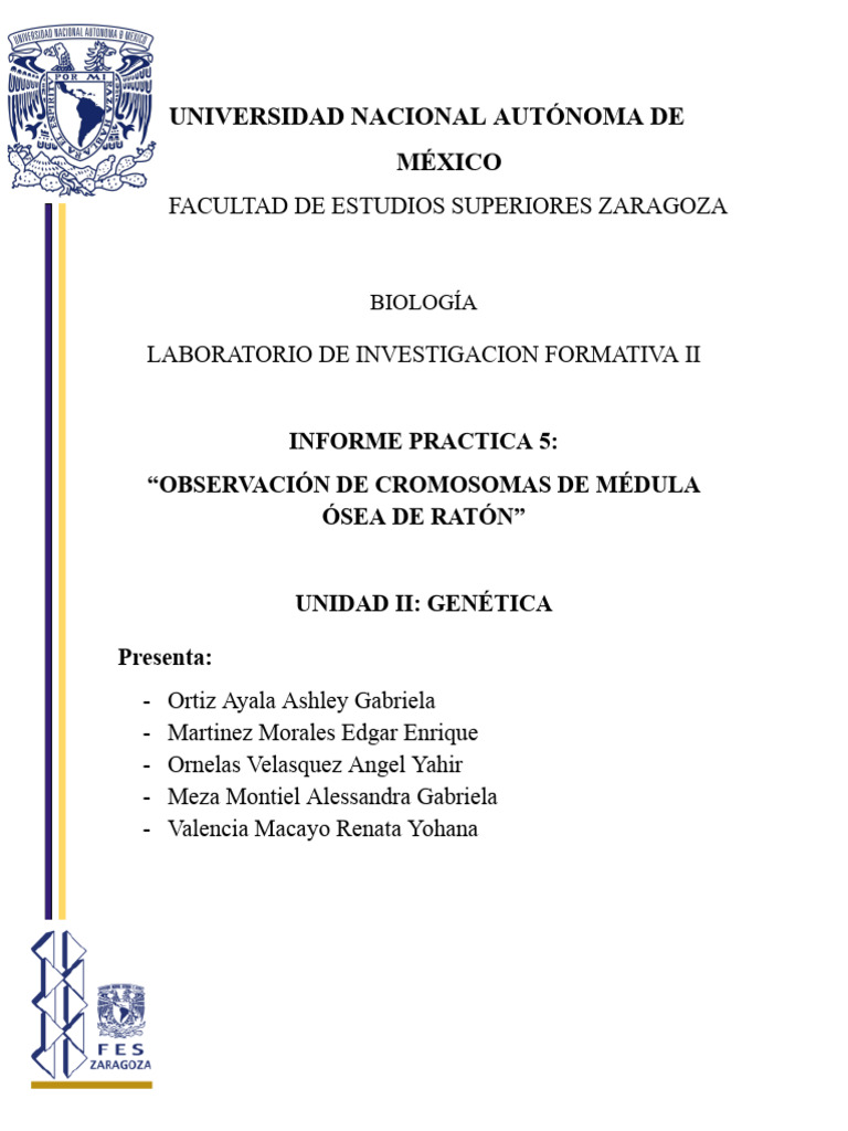 Informe Practica 5 C | PDF | Cromosoma | Hueso