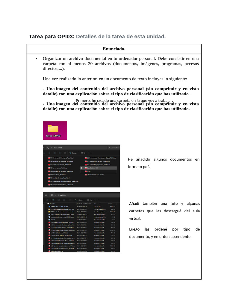 OPI03 Tarea | PDF | Archivo de computadora | Informática