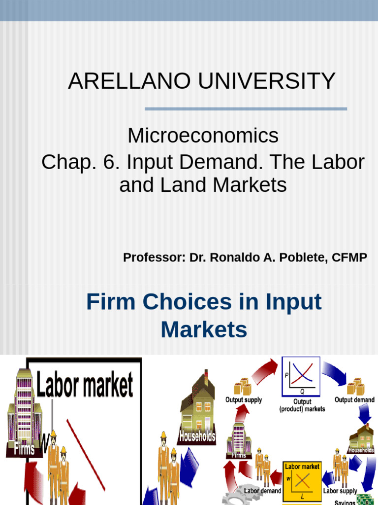 Labor Price Effects on Input Demand | PDF | Labour Economics | Economies