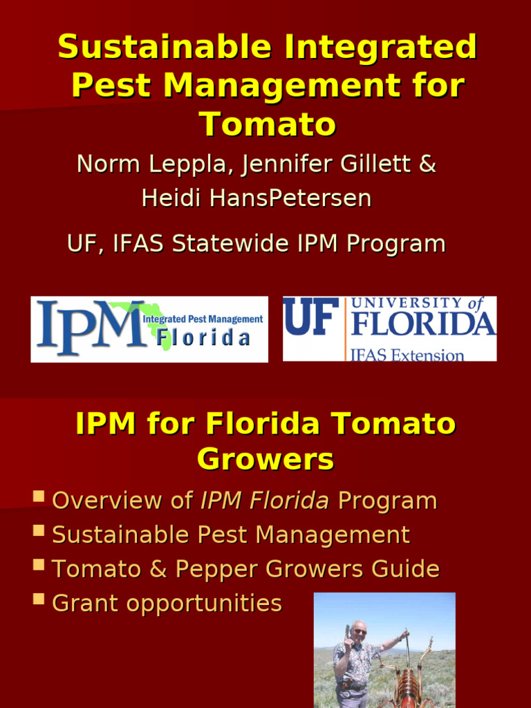 Tomato Growers IPM | PDF | Agriculture | Pest (Organism)
