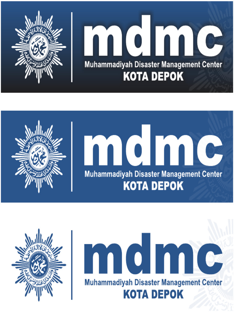 MDMC | PDF