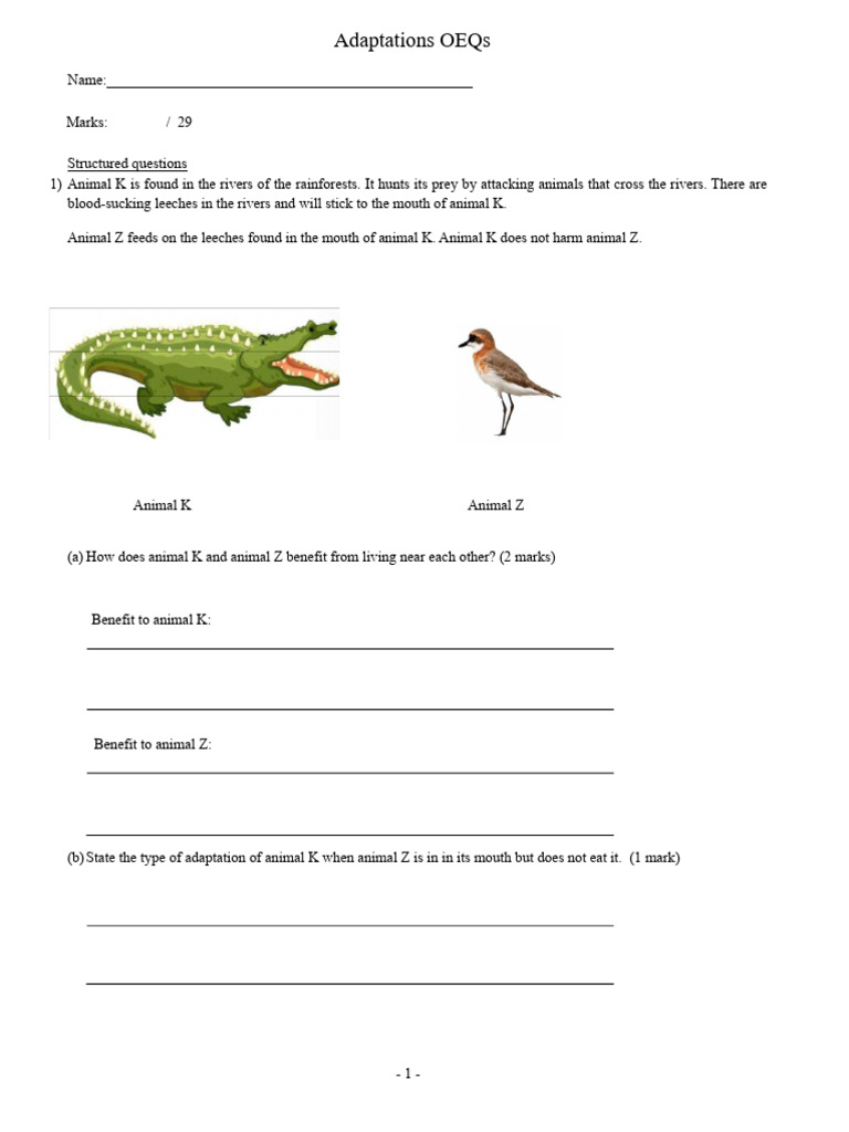 p6 Adaptations Oeqs On Adaptations | PDF | Adaptation | Predation