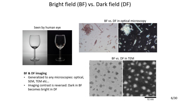 BF vs DF Microscopy Techniques Explained | PDF
