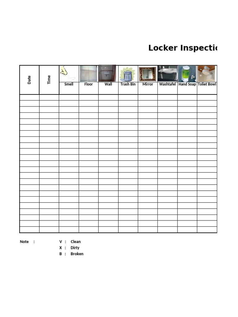 Toilet Inspection | PDF