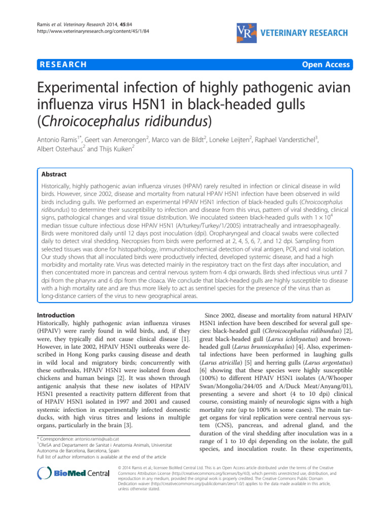 H5N1 Infection in Black-Headed Gulls | PDF | Influenza A Virus Subtype ...