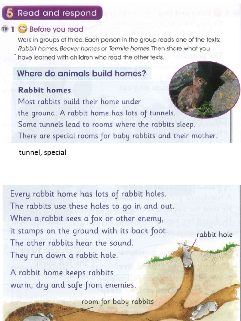 Lesson Note 5 | PDF