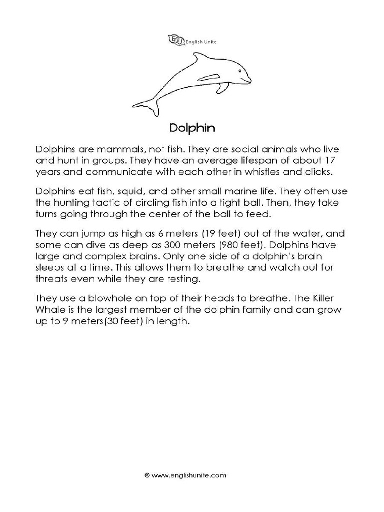 Dolphin Pdf
