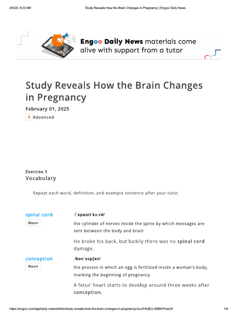 Study Reveals How The Brain Changes in Pregnancy | PDF