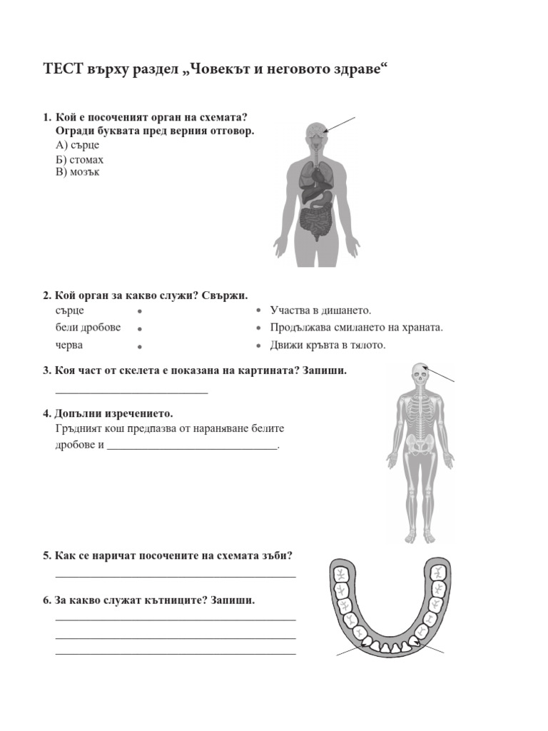 3kl CHP Test2-Tek | PDF