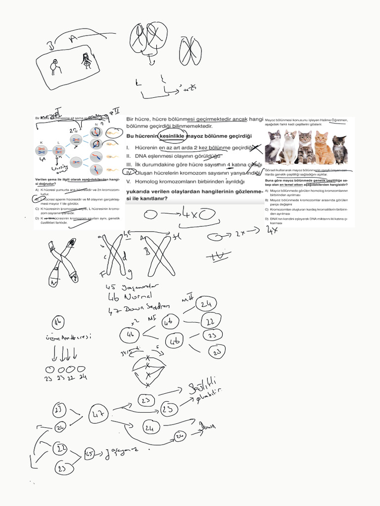 4 Ders | PDF