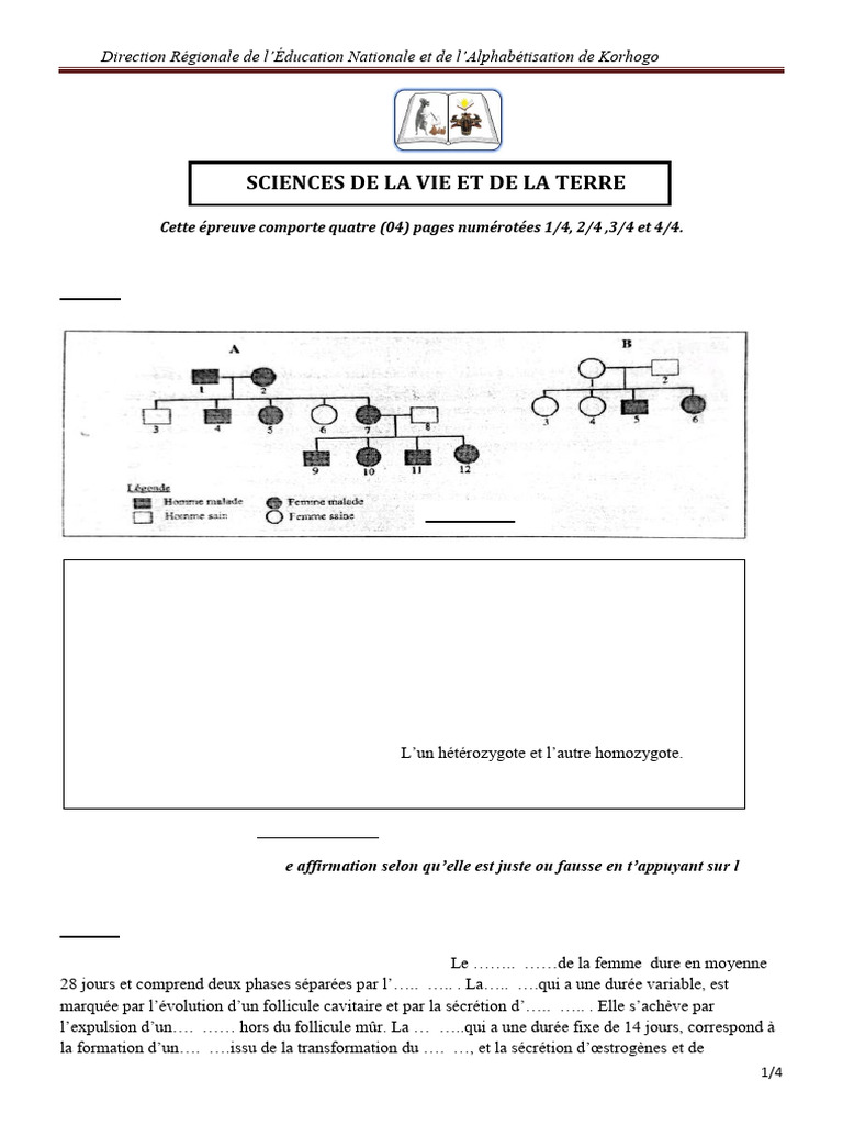Devoir de SVT : Transmission génétique et cycles sexuels | PDF | Cycle ...