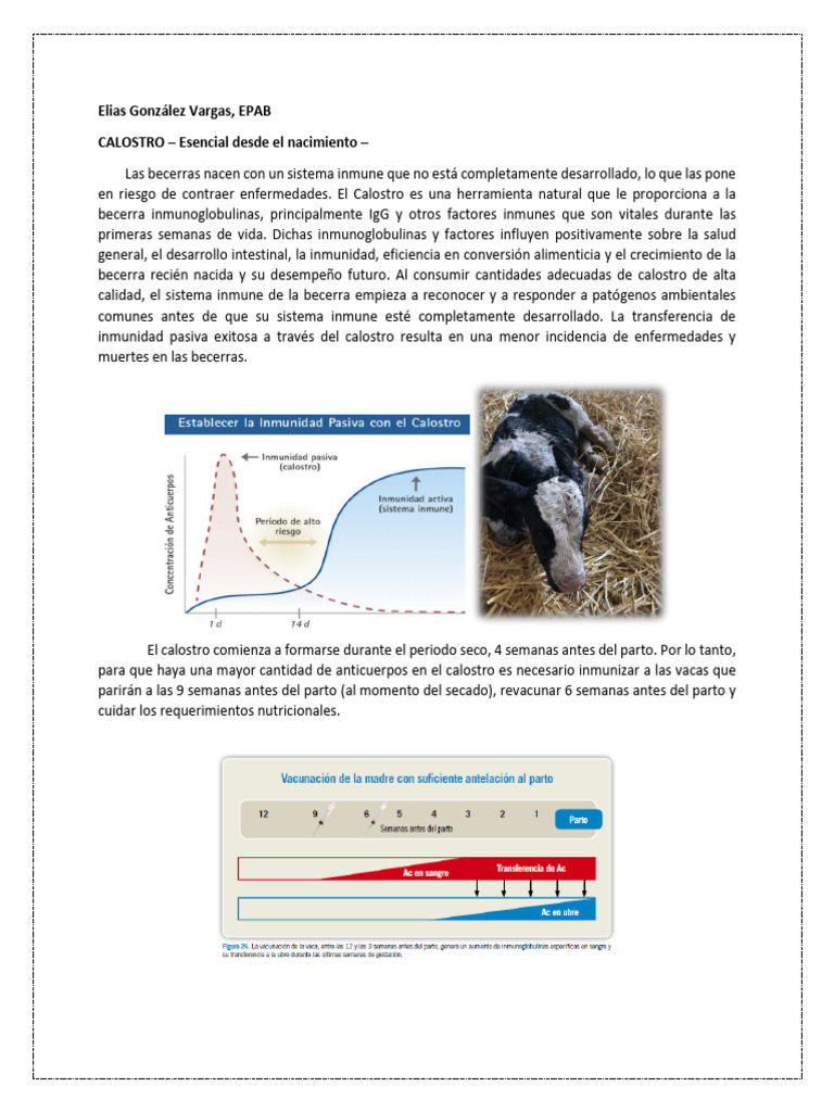 EG - Manejo Adecuado de Calostro | PDF | Especialidades Medicas ...