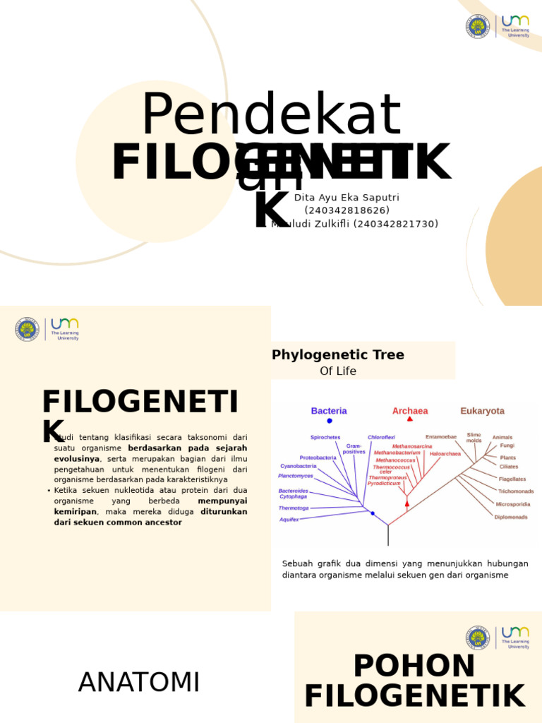 Pohon Filogenetik dan Metode Analisis | PDF