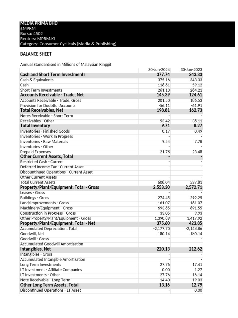 MPRM Balancesheet Annual 20250101 | PDF | Equity (Finance) | Capital ...