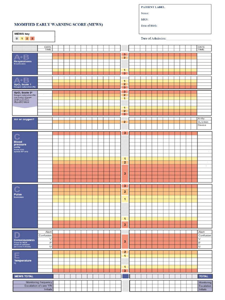 MEWS-Empty Template | PDF