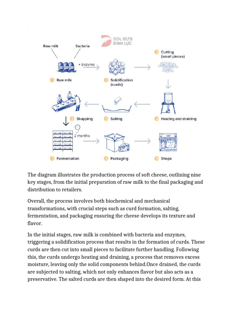 Soft Cheese Production Process Explained | PDF | Cheese | Disciplines