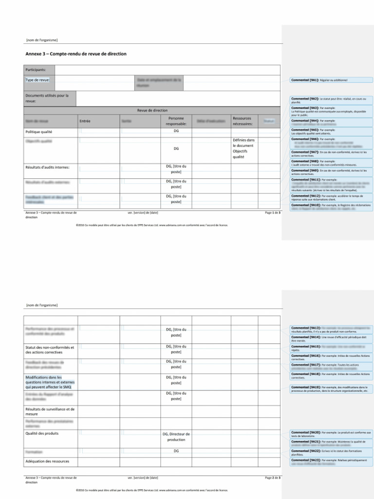 16.3 Annexe 3 Compte Rendu de Revue de Direction Premium FR | PDF