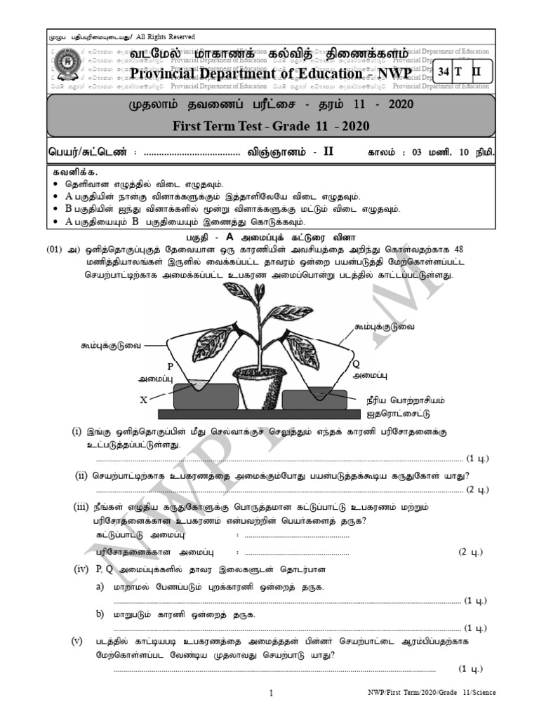 Grade 11 Science First Term Test 2020 | PDF