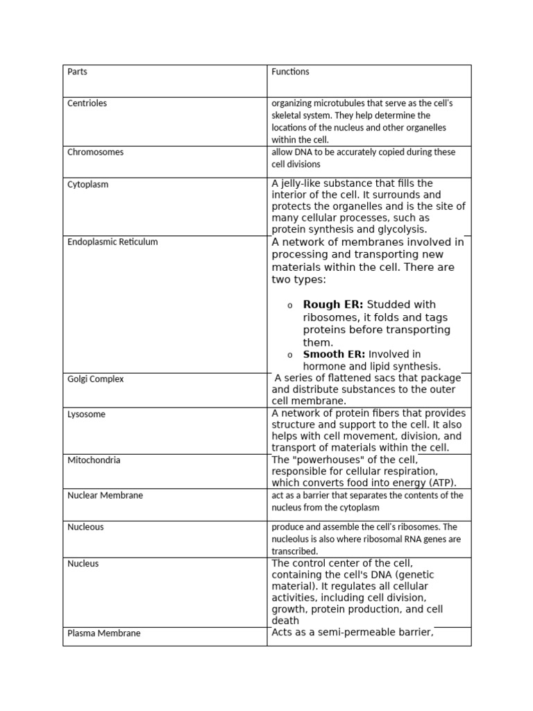 Cell Organelles and Their Functions | PDF | Cell (Biology ...