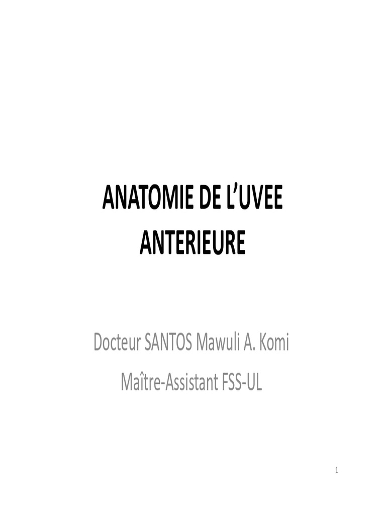 Anatomie de l'uvée antérieure de l'œil | PDF | Tissu conjonctif ...