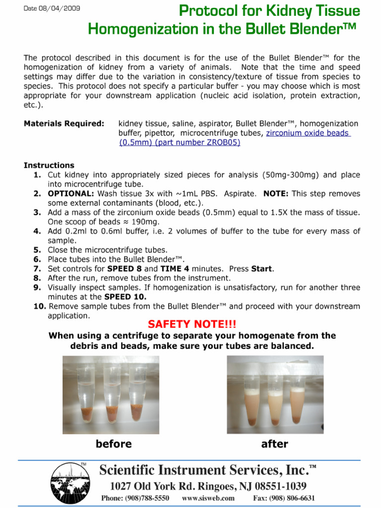 Homogenization Kidney Tissue | PDF