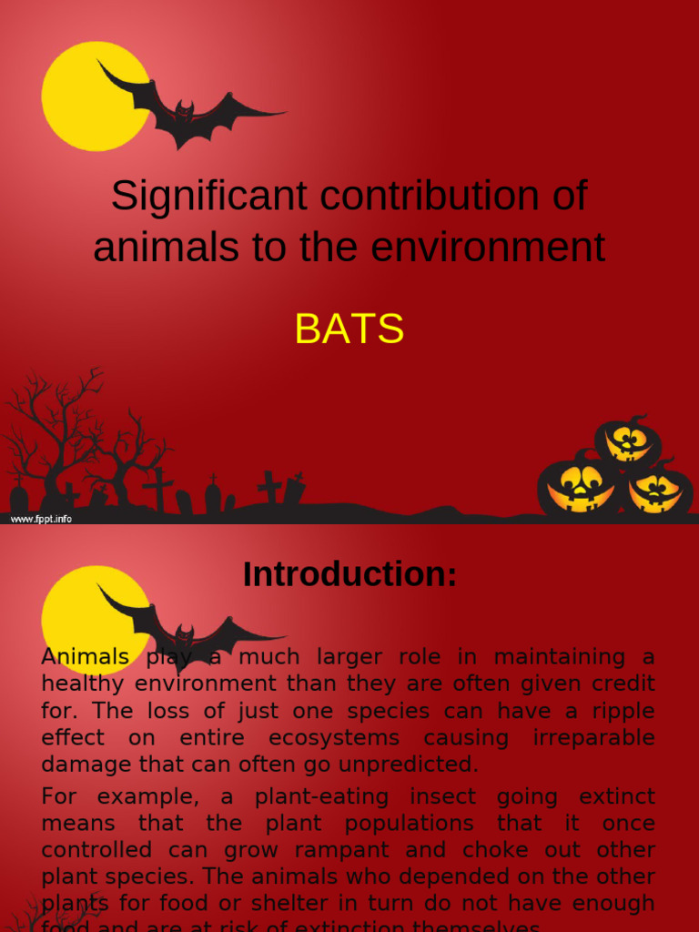 Bats' Crucial Role in Ecosystem Health | PDF