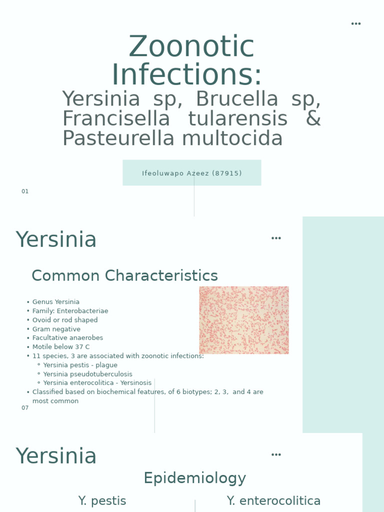 Zoonotic Infections Yersinia SP, Brucella SP, Francisella Tularensis ...