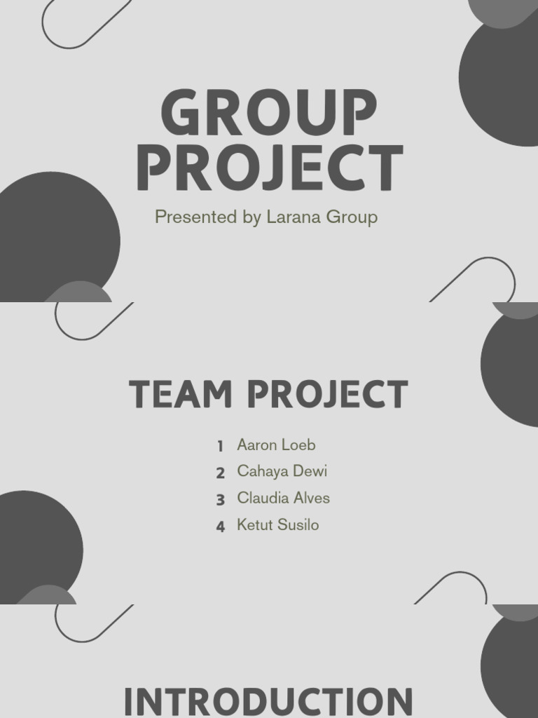 Team Project Overview by Larana Group | PDF