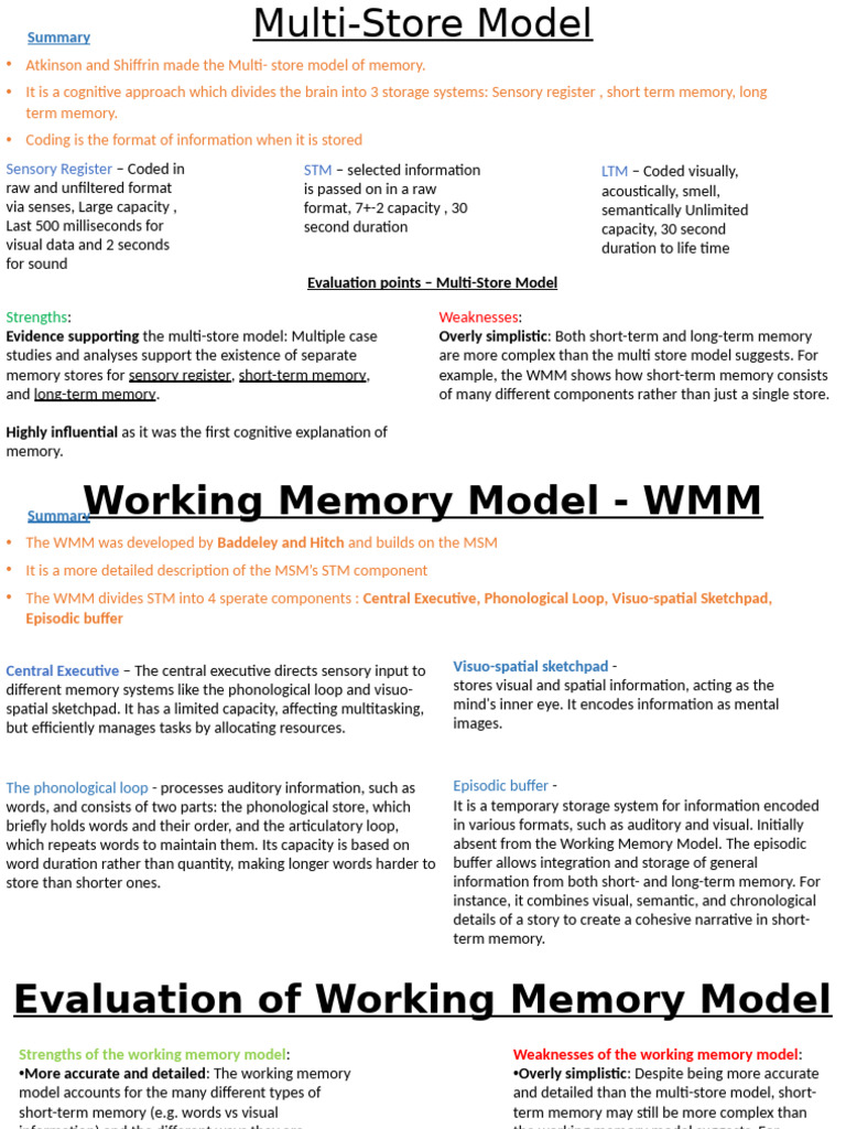 Understanding Memory Models and Forgetting | PDF | Memory | Working Memory