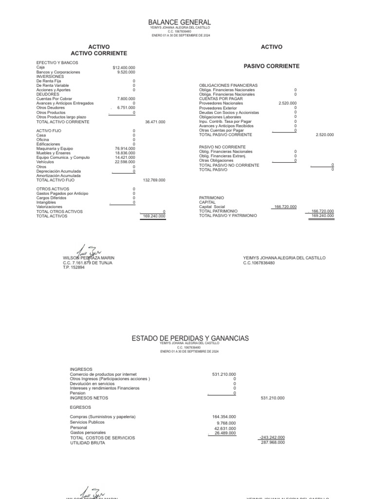 Balance General y Estado de Resultados | PDF | Sector privado | Dinero