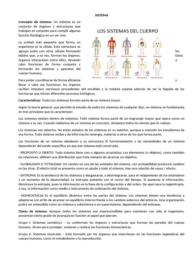LOS SISTEMAS DEL CUERPO HUMANO | PDF | Sistema linfático | Sistema