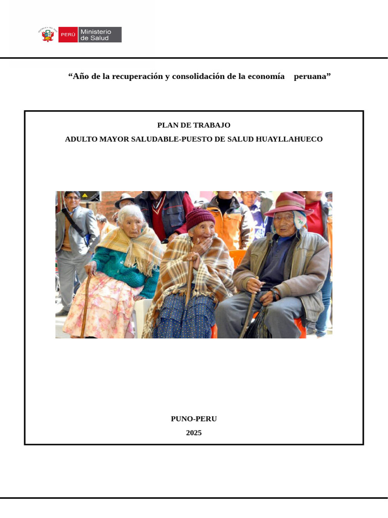 Plan de Salud para Adultos Mayores en Puno | PDF | Envejecimiento | Vejez