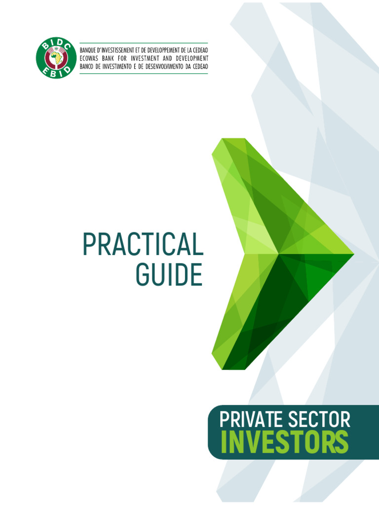 Ebid Practical Guide July 2024 | PDF | Banks | Debt