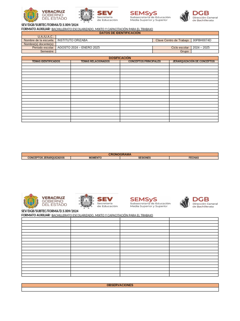 Formato Auxiliar Bachillerato 2024-2025 | PDF