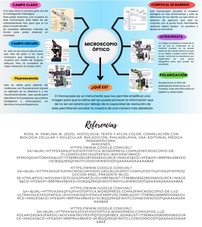 MICROSCOPÍA ÓPTICA | PDF | Microscopio | Óptica