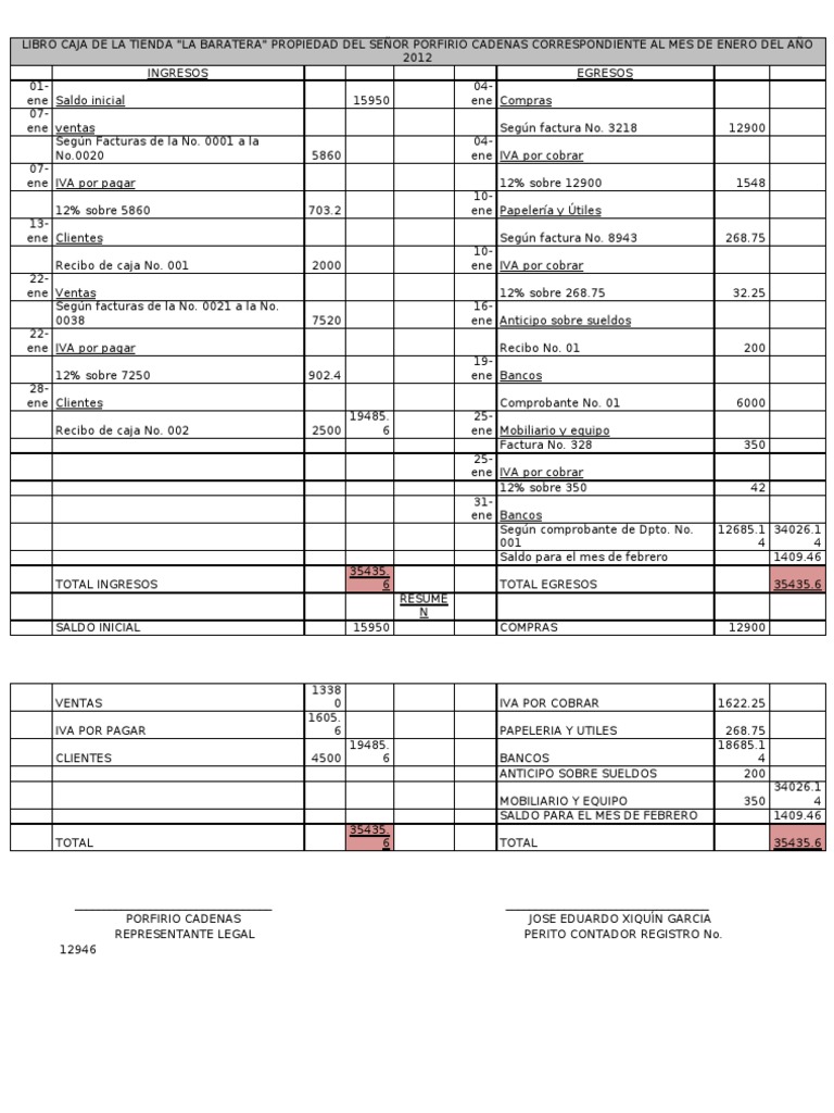 Libro Caja de La Tienda La Baratera PDF
