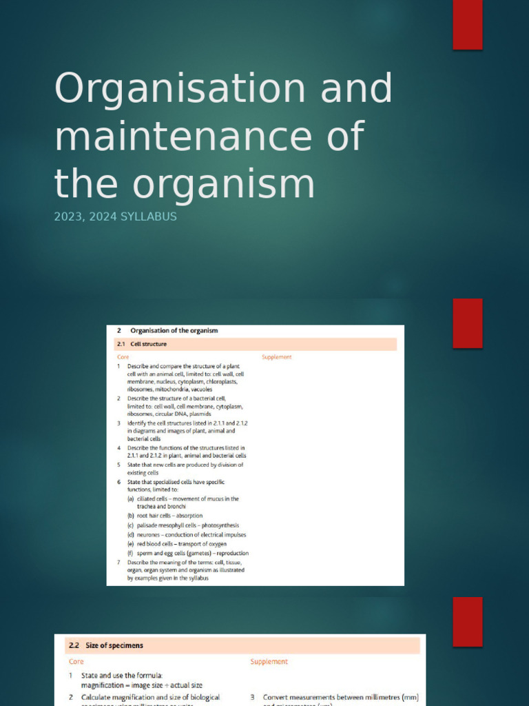 Organism Structure and Function Overview | PDF | Tissue (Biology ...