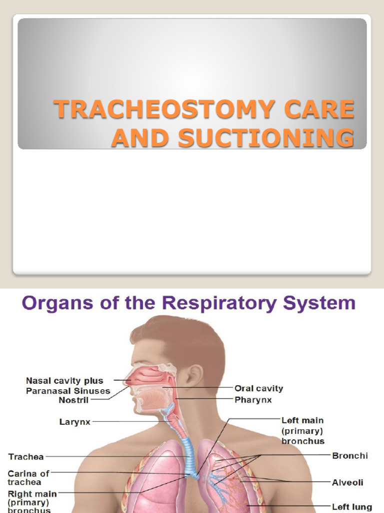 Tracheostomy Care and Management Guide | PDF | Respiratory Tract ...