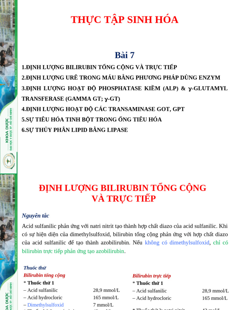 Bai Thuc Tap 7 | PDF