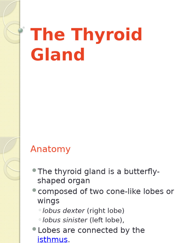The-Thyroid-Gland-new | PDF | Thyroid | Thyroid Stimulating Hormone