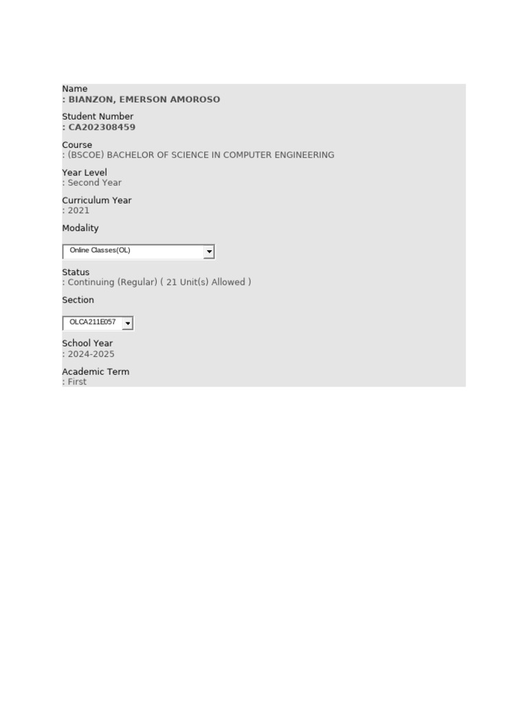 Second Year Computer Engineering Student Profile | PDF