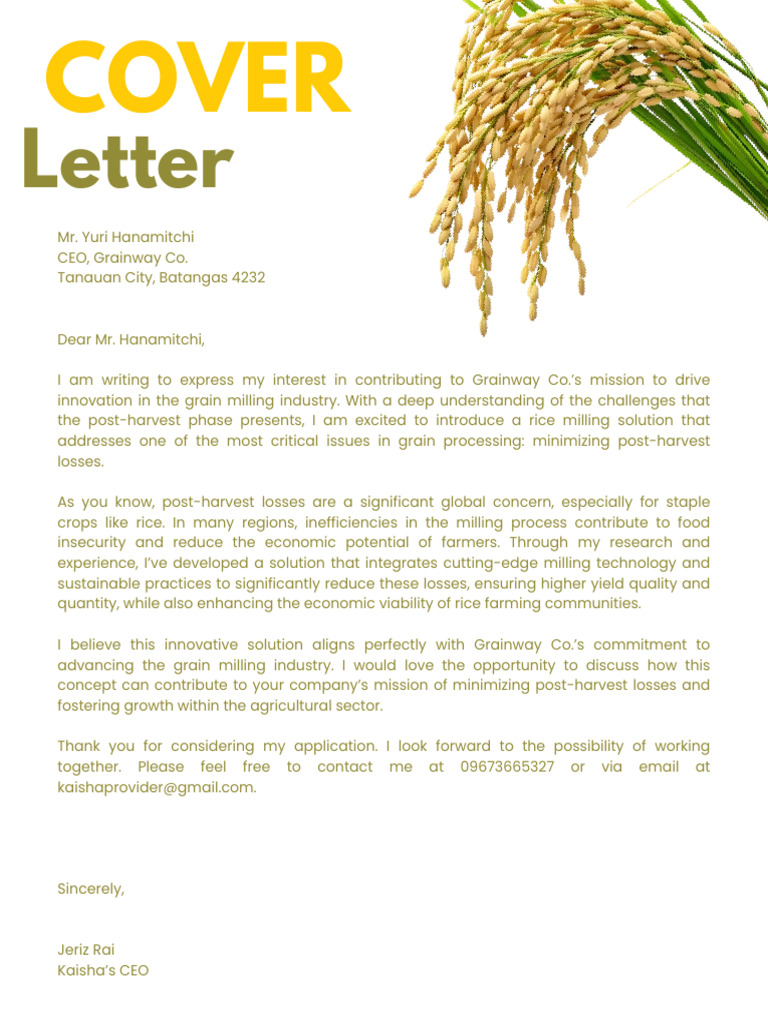 Innovative Rice Milling Solutions | PDF | Rice | Solar Energy
