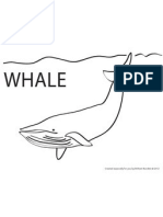 Whale