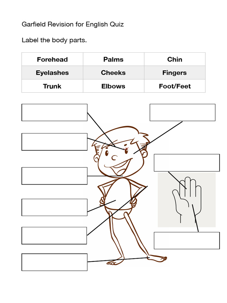 Body Parts Identification Quiz | PDF