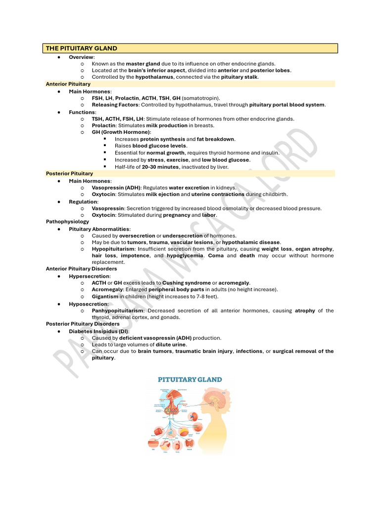 Pituitary Gland Disorders Overview | PDF | Pituitary Gland | Endocrine ...