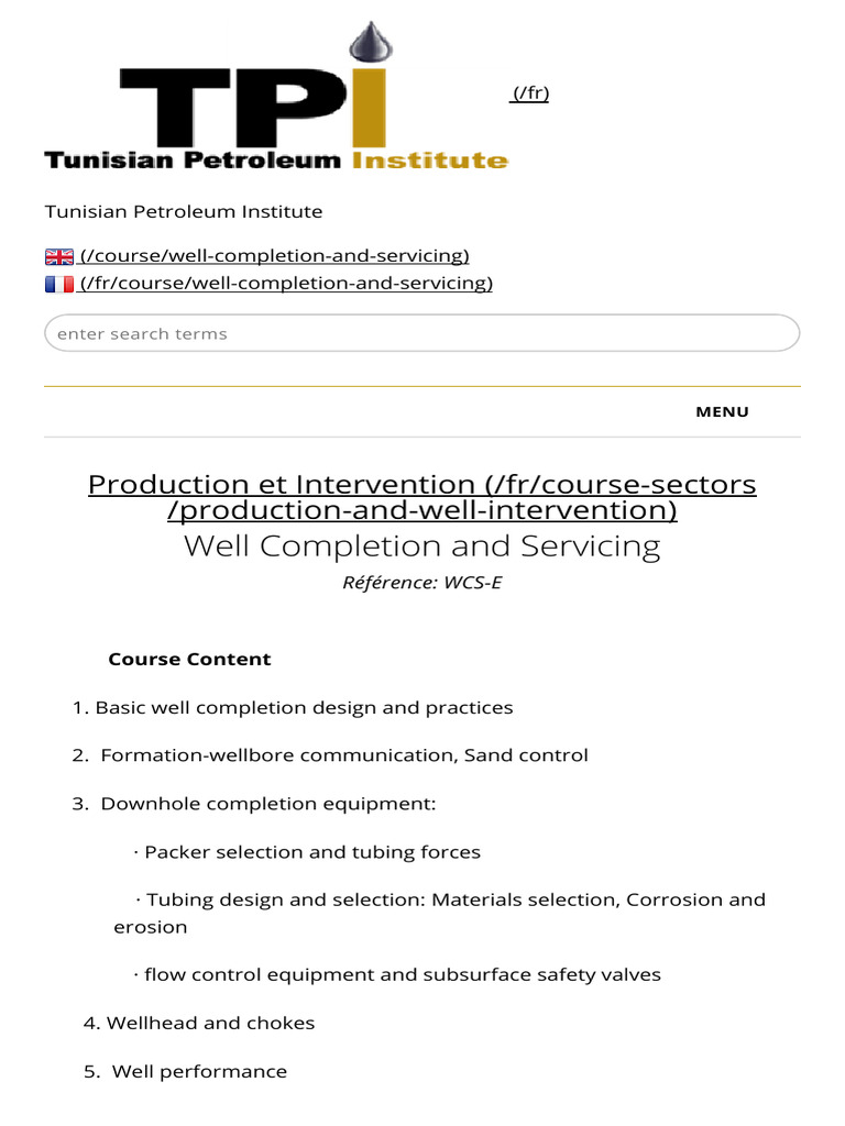Well Completion and Servicing | PDF | Oil Well | Chemical Engineering