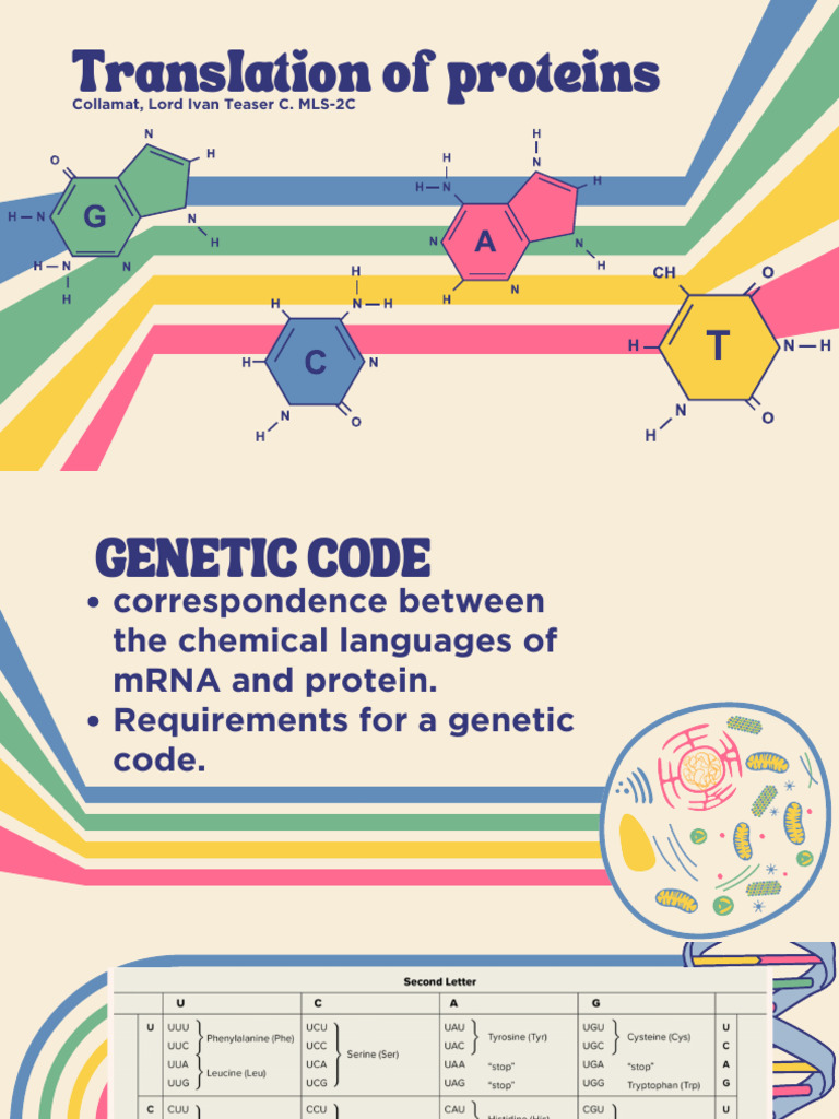 2C-Translation of Protein-Collamat | PDF | Translation (Biology ...